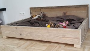 hondenbank gebruikt steigerhout